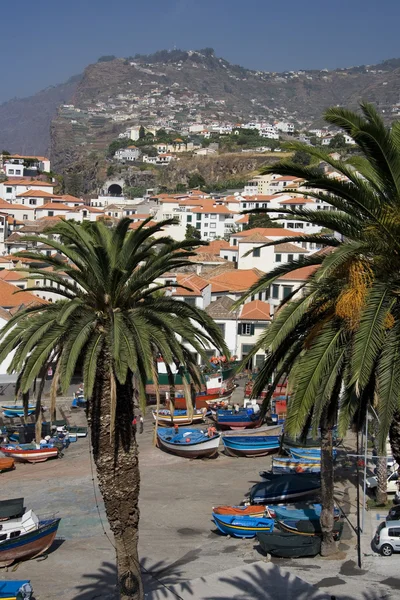 Camara de Lobos - Madeira — Stok fotoğraf