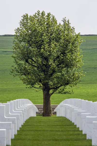 Krigskyrkogård - somme - Frankrike — Stockfoto