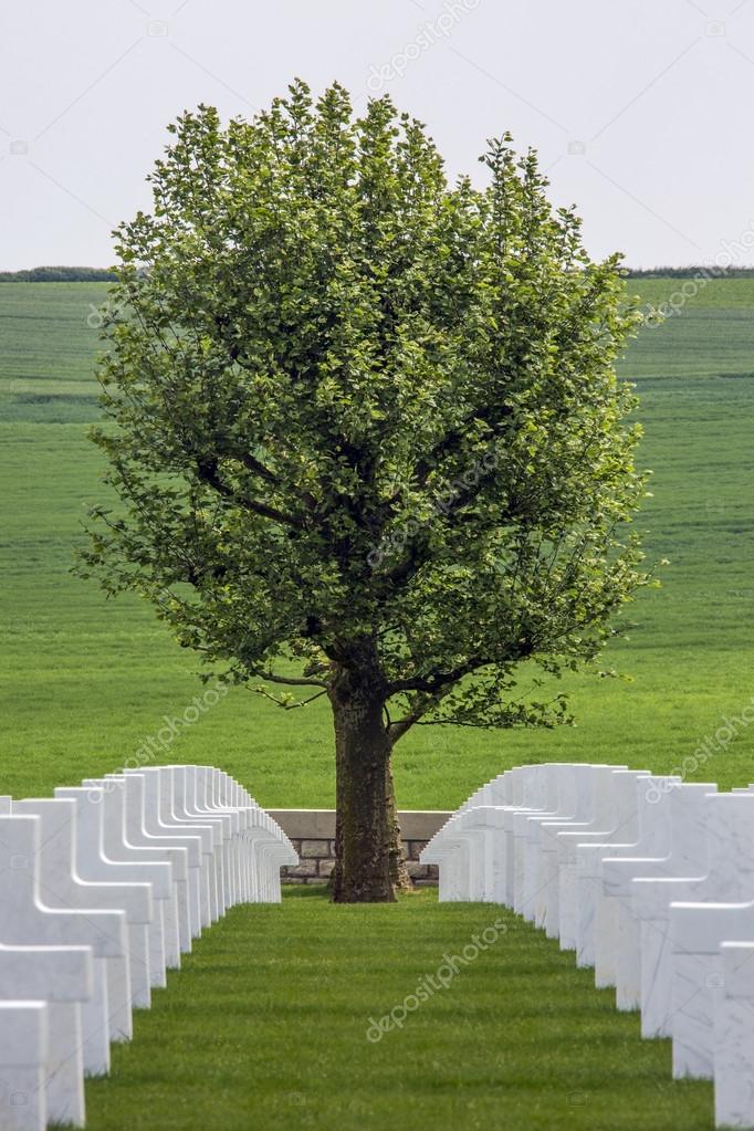 War Cemetery - The Somme - France