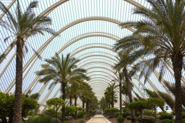 City of arts & Bilimler - valencia - İspanya