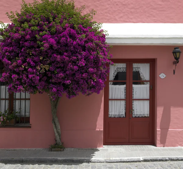 Colonia in Uruguay — Foto Stock