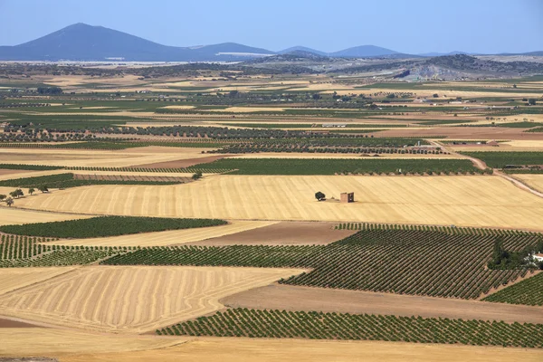 Landbouwgrond & wijngaarden - la mancha - Spanje — Stockfoto