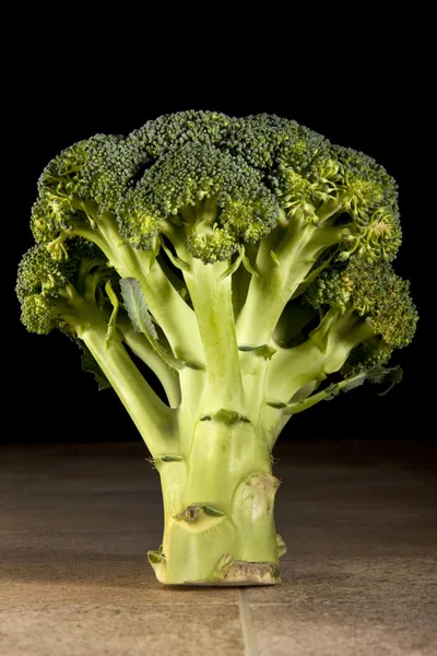 Broccoli — Stock Photo, Image