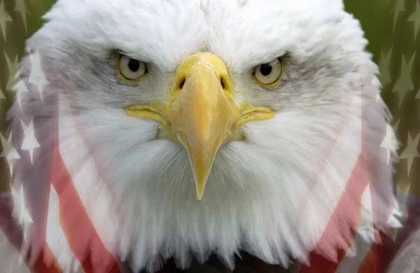 Estados Unidos da América - Patriotismo — Fotografia de Stock