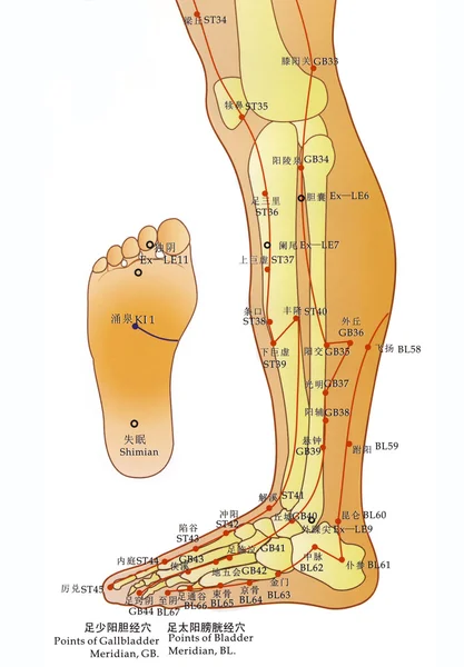 대체 의학-침술 차트 — 스톡 사진