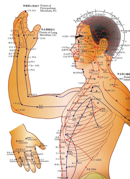 Medicina alternativa - Gráfico de acupuntura — Fotografia de Stock