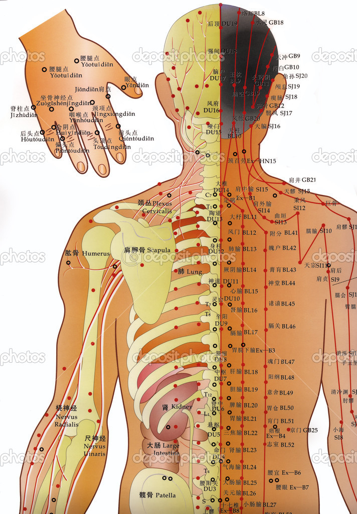 Alternative Medicine - Acupuncture Chart