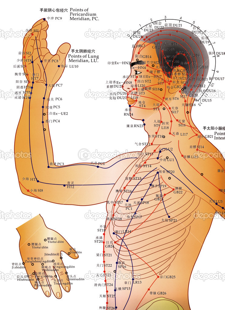 Head Acupuncture Chart