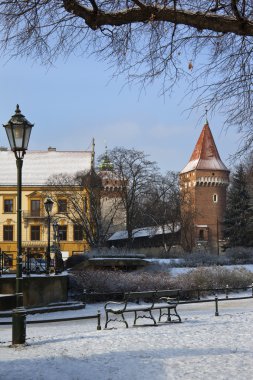planty Krakow - Polonya