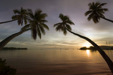 Fiji - Tropical Sunset - South Pacific clipart