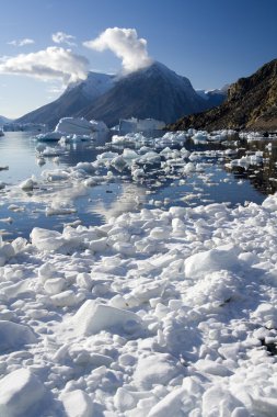 Grönland - Kuzey Batı fiyort - scoresbysund
