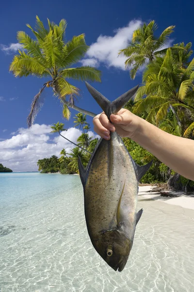 Fisch gefangen in der Aitutaki-Lagune auf den Kochinseln — Stockfoto