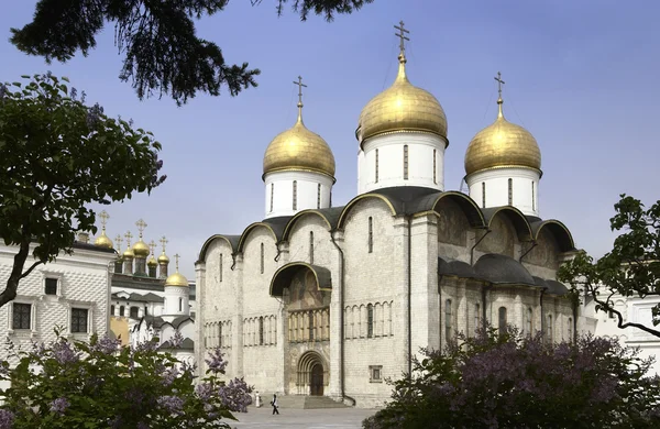 Moskau - Kreml - Kathedrale der Himmelfahrt — Stockfoto