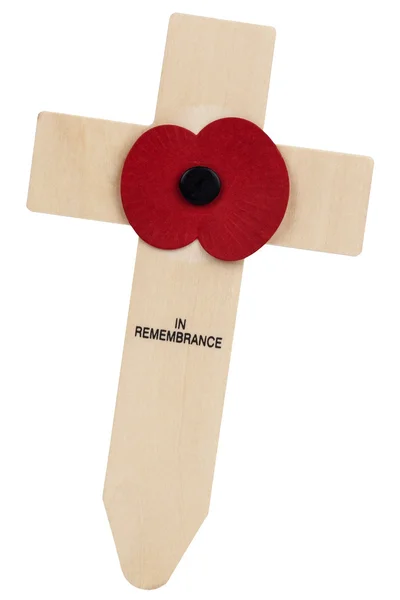 Remembrance Day Poppy - United Kingdom — Stock Photo, Image