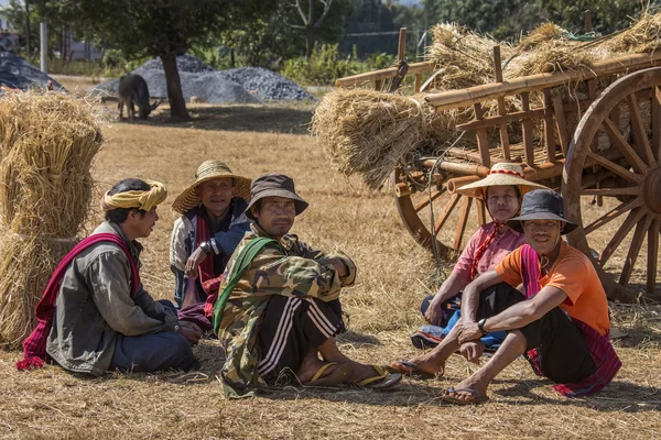 Farm Hand - Shan State - Мьянма — стоковое фото