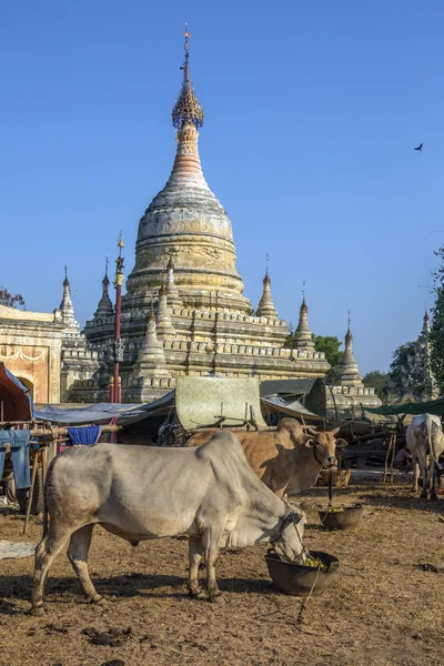 Баган - Мьянма — стоковое фото