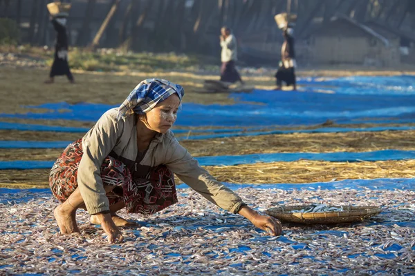 Village de pêcheurs - Plage de Ngapali - Myanmar — Photo