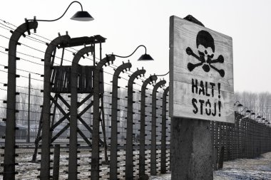 Birkenau nazi toplama kampı - Polonya