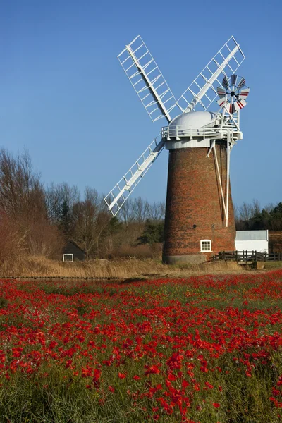 Horsey Windpump - Norfolk - England — Stock Photo, Image