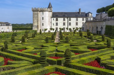 Villandry chateau - loire valley - Fransa