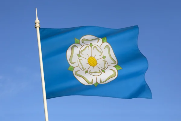 White Rose of Yorkshire - Royaume-Uni — Photo