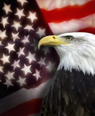 Amerika Birleşik Devletleri - vatanseverlik