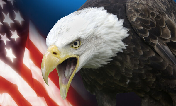 Соединенные Штаты Америки