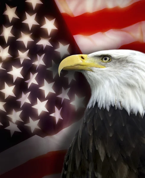 United States of America - Patriotism — Stock Photo, Image