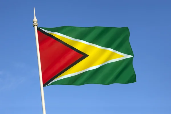 Flagge von Guyana — Stockfoto