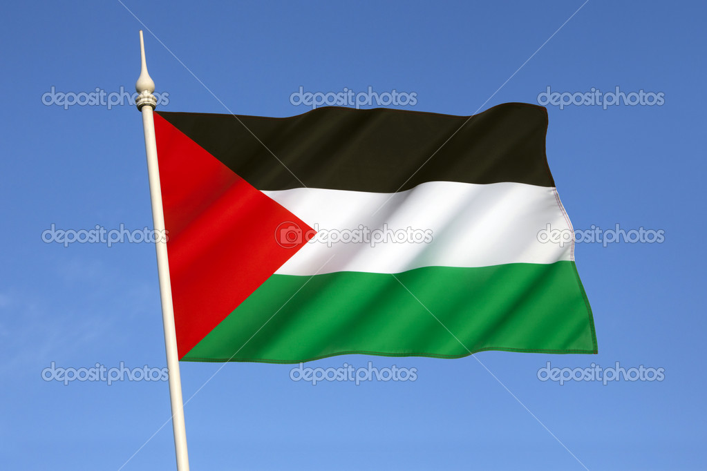 Bandera de Palestina: fotografía de stock © Steve_Allen #41944357