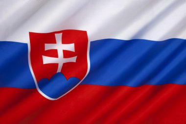 Slovakya bayrağı