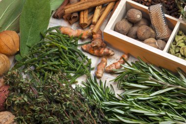 Bitkiler ve baharatlar.