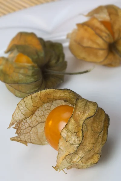 Physalis — Stockfoto