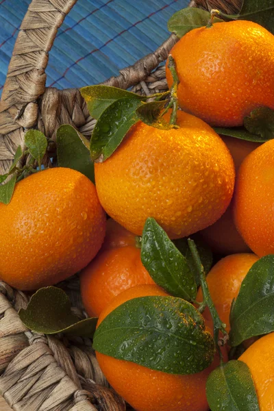 Naranja mandarín — Foto de Stock