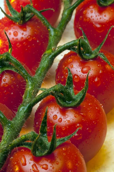 Vine Tomato — Stock Photo, Image