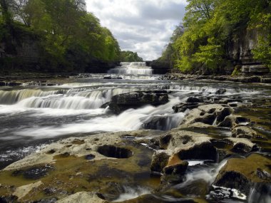 Aysgarth - Wensleydale - Yorkshire Dales düşüyor