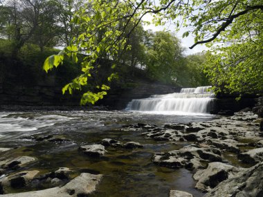 Aysgarth - Wensleydale - Yorkshire Dales düşüyor