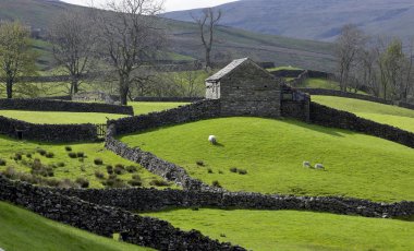 Kuzey Yorkshire'da bir tepe çiftliğinin eski ahır ve kuru taş duvarlar -