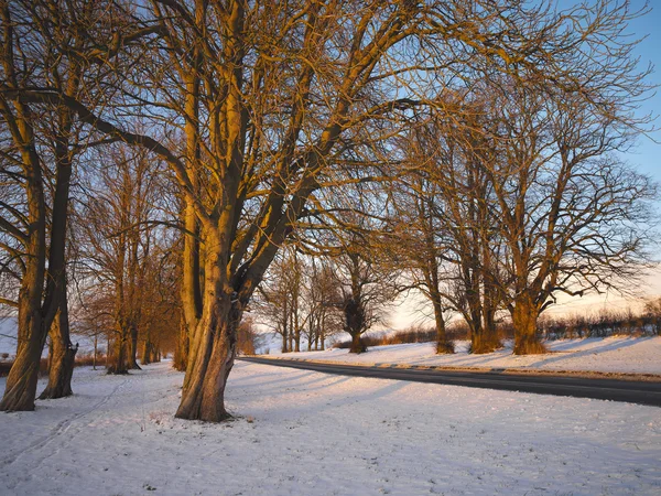 Загородная дорога зимой - Йоркшир - Англия — стоковое фото