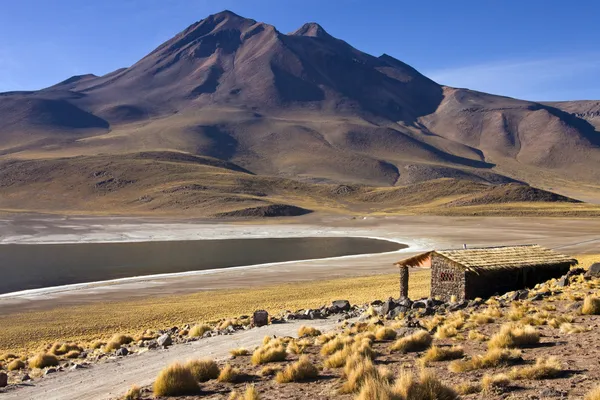 라 구나 miscanti-안데스 산맥-아타 카마 사막 — 스톡 사진