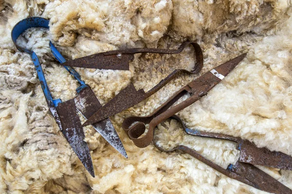 Cesoie per pecore - Cesoie arrugginite a lama vecchia — Foto Stock