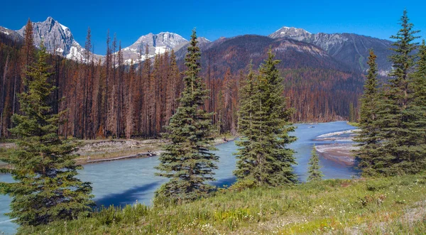 Kootenay River Στο Εθνικό Πάρκο Kootenay Βρετανική Κολομβία Στο Δυτικό — Φωτογραφία Αρχείου