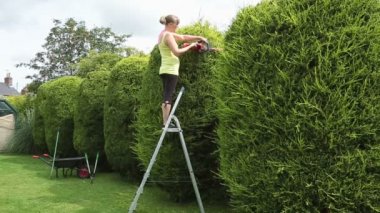 genç kadın bir çit kesme