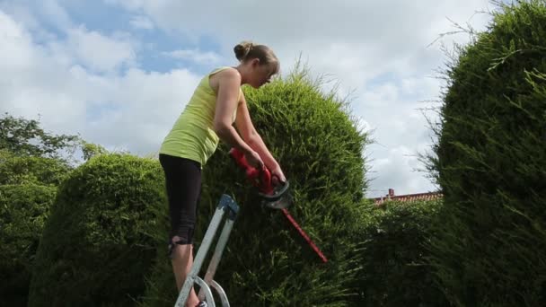 Mladá žena stříhání živého plotu — Stock video