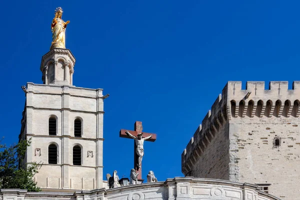 Cathedral City Avignon Department Vaucluse Left Bank Rhone River Unesco — Stock Photo, Image