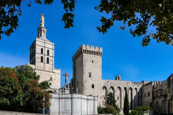 Katedra Mieście Avignon Departamencie Vaucluse Lewym Brzegu Rzeki Rhone Była — Zdjęcie stockowe