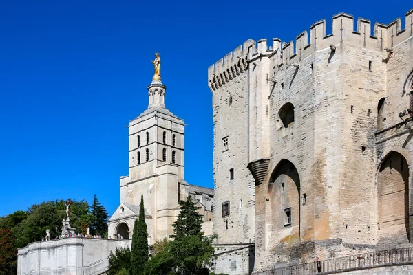 Cathedral City Avignon Department Vaucluse Left Bank Rhone River Unesco — Stock Photo, Image