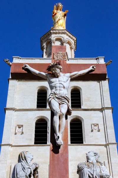 Cathédrale Ville Avignon Dans Département Vaucluse Sur Rive Gauche Rhône — Photo