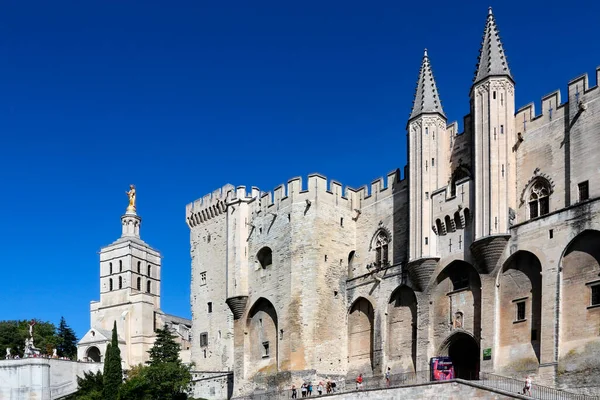 Die Kathedrale Der Stadt Avignon Departement Vaucluse Linken Ufer Der — Stockfoto
