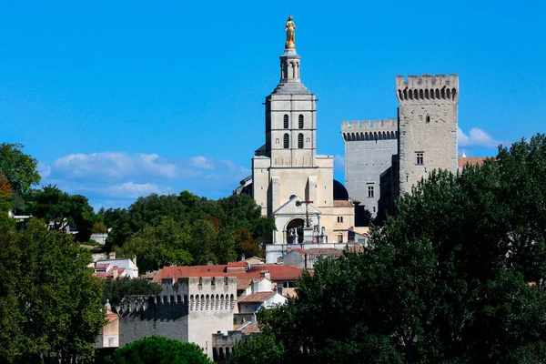 Kathedraal Stad Avignon Het Departement Vaucluse Linkeroever Van Rhône Unesco — Stockfoto